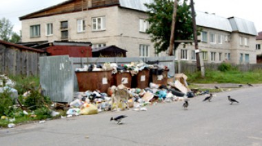 Мусору рады и собака, и ворона, только житель не рад! Фото  автора. «усольская газета»