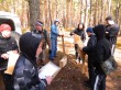 Ребята Орлинского школьного лесничества развешивают скворечники в лесу.